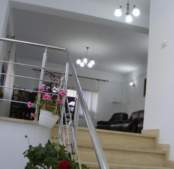 ペンション Enigma Bucovinei