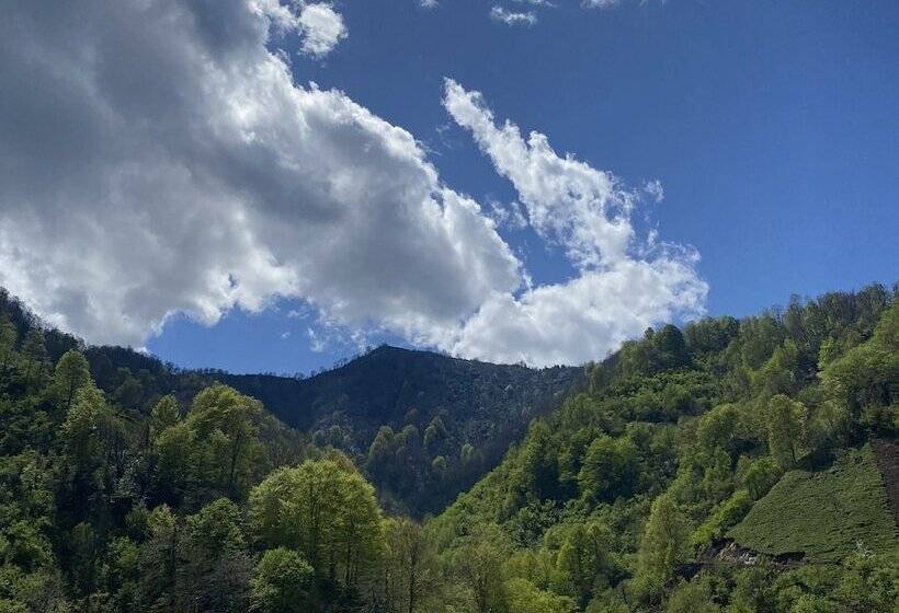 ペンション Hakoni House