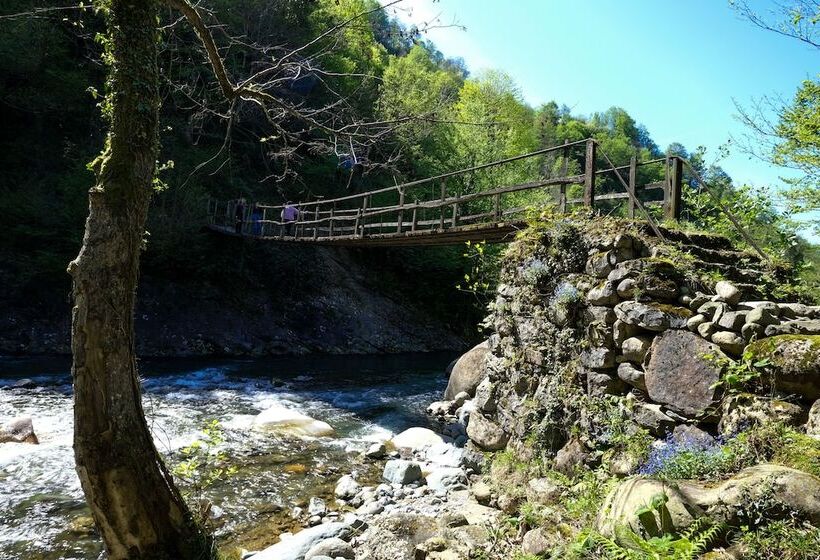 ペンション Hakoni House