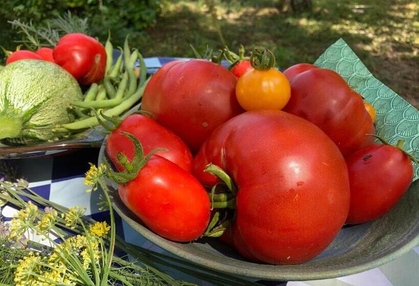 ペンション Les Deux Chevaux Chambres D’hôtes