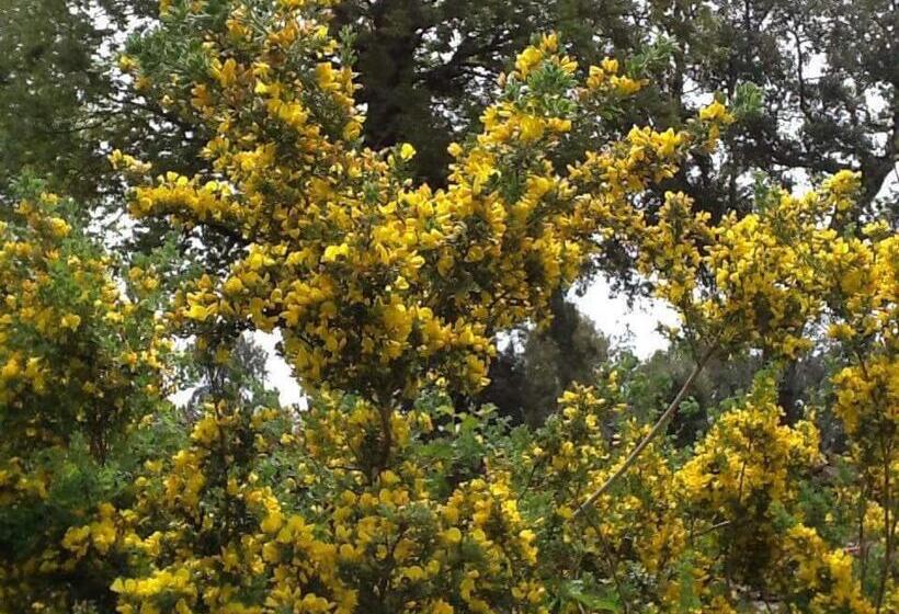 بنسيون Maison D Hôtes Abou Hachem