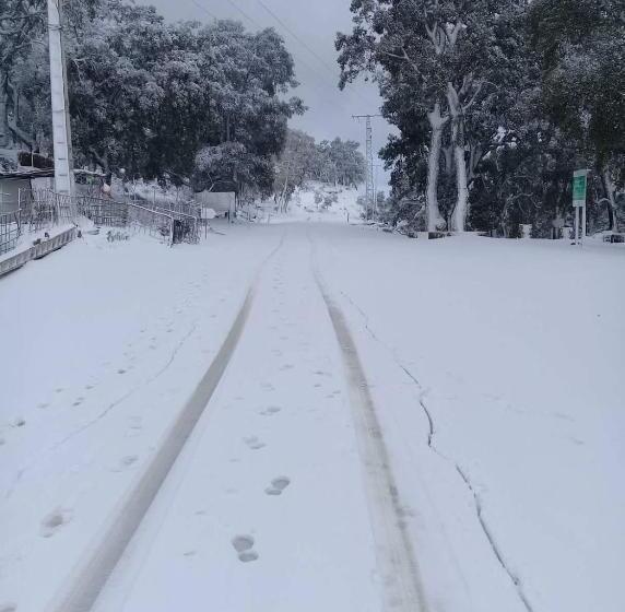 بنسيون Maison D Hôtes Abou Hachem