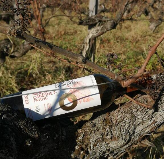 민박 Chambre D Hôte Près Bordeaux Au Château Camponac