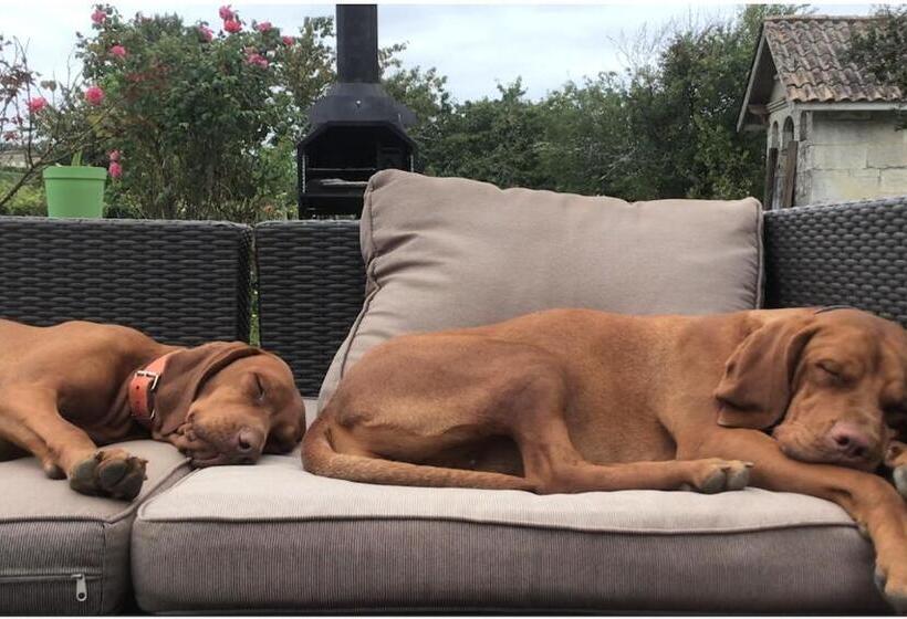민박 Chambre D Hôte Près Bordeaux Au Château Camponac