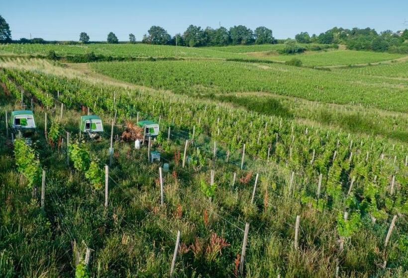 민박 Chambre D Hôte Près Bordeaux Au Château Camponac