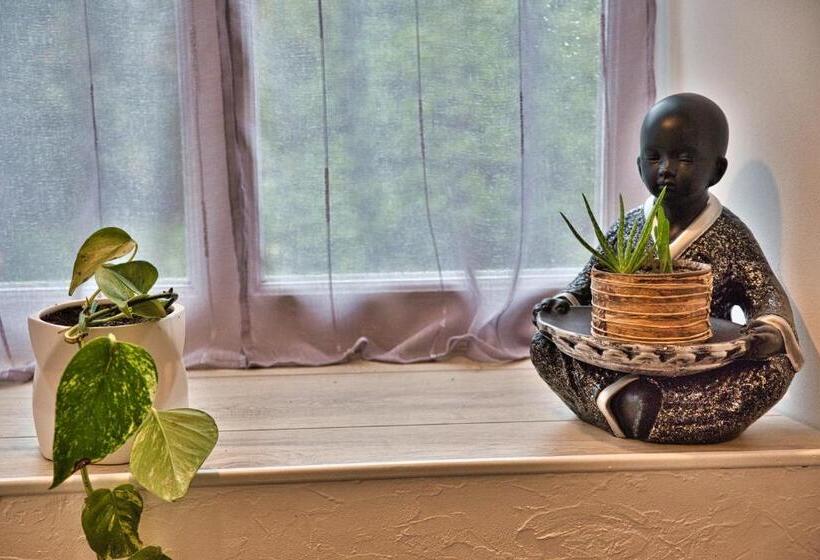 مبيت وإفطار La Jacarandière