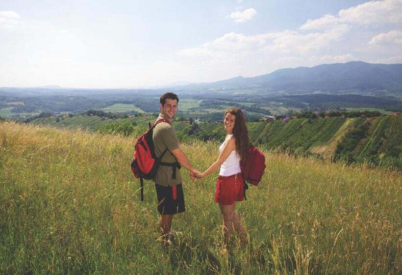 בית מלון כפרי Rooms Bolfan Vinski Vrh