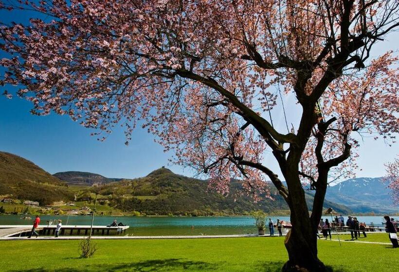 فندق Seegarten