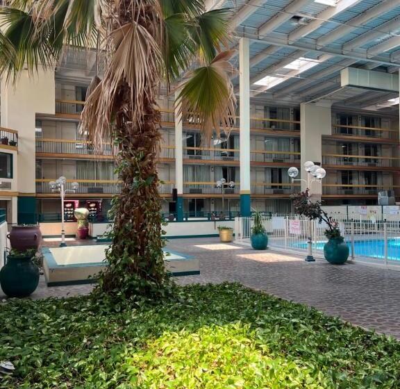 The Lodge Hotel And Banquets