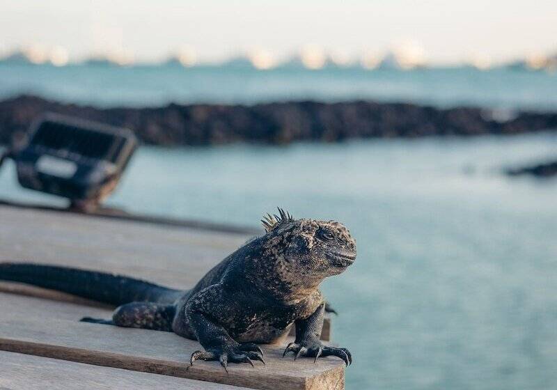 هتل Blu Galapagos Sustainable Waterfront Lodge