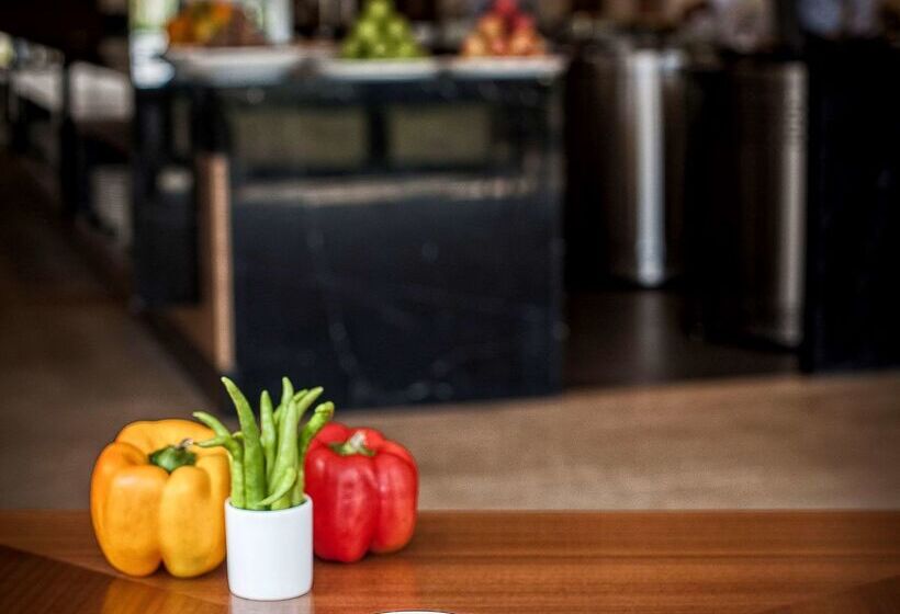 酒店 Hyatt Place Hampi
