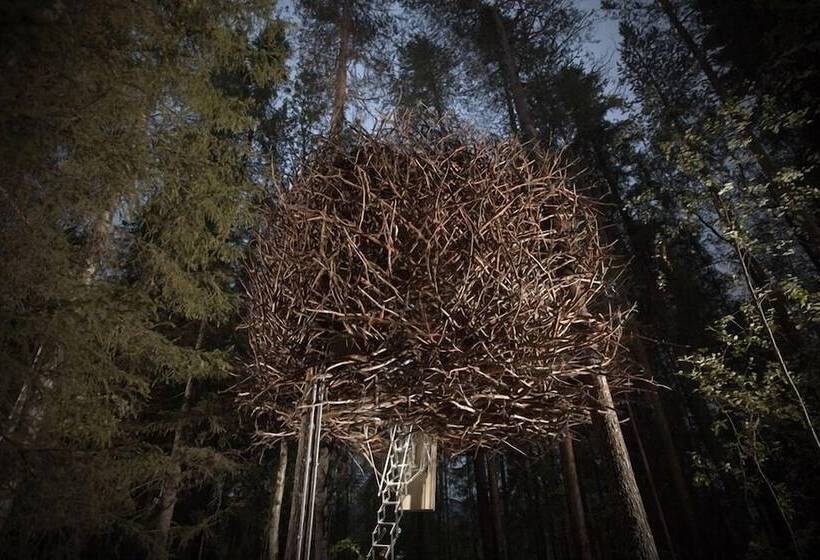 Treehotel