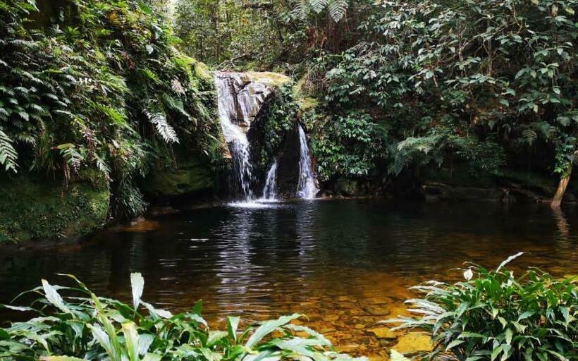 호스텔 Shintuya Hot Springs
