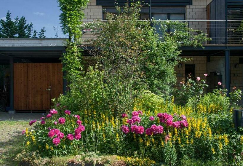 B&b Bättwil