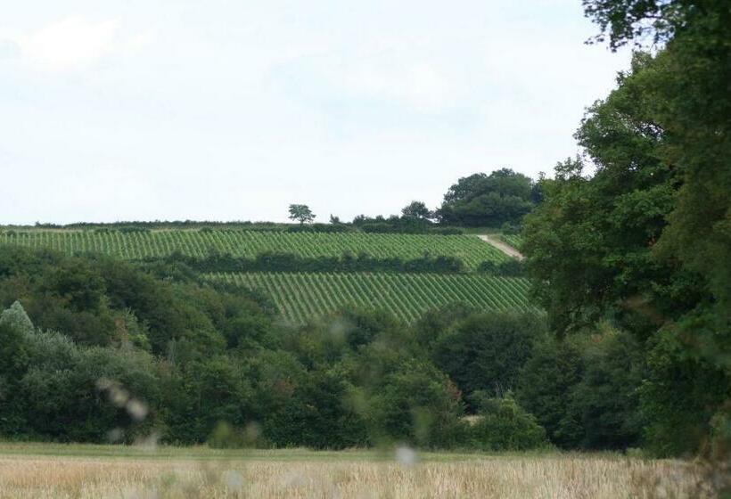 ベッドアンドブレックファースト Chalet Aux Pied Des Vignes