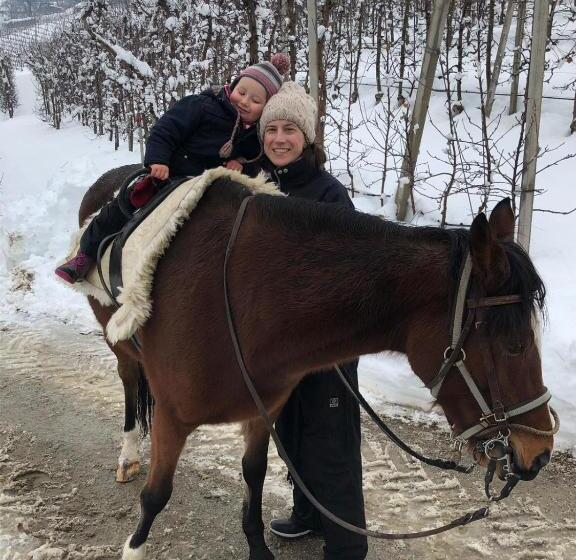 Отель Buehlerhof Agriturismo, Obst &weingut, Urlaub Mit Hund, Pferde, Bauernhof, Brixen
