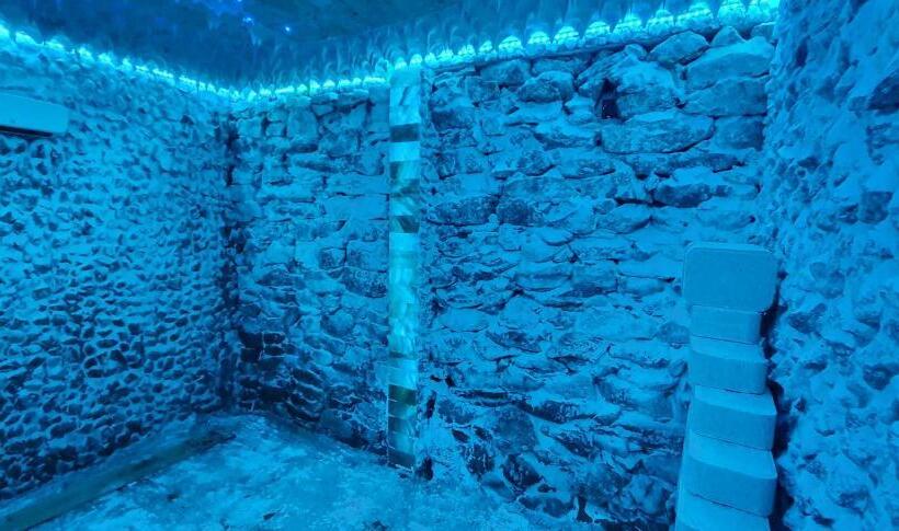 פנסיון Zestrea Bunicilor