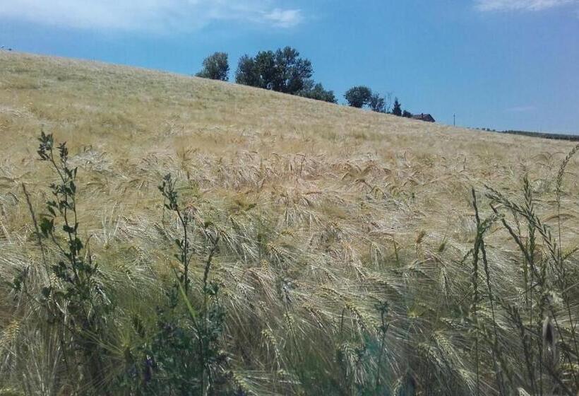 هاستل Affittacamere Maranello Locanda Moca