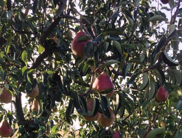 هاستل Affittacamere Maranello Locanda Moca