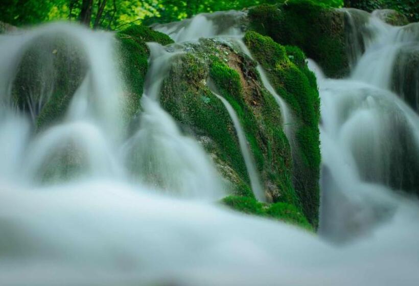 호스텔 Zubimuxu Aterpea