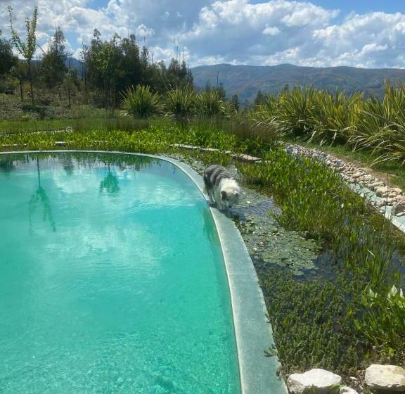 住宿加早餐  Cdr Moderne Luxe En Spectaculair Uitzicht