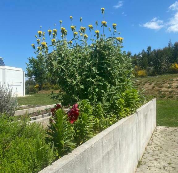 住宿加早餐  Cdr Moderne Luxe En Spectaculair Uitzicht