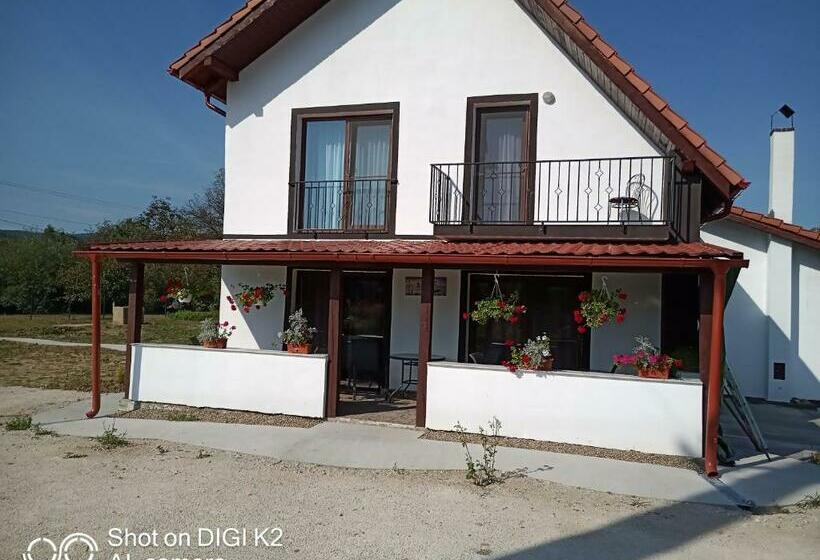 Отель Agropensiunea Răzvan