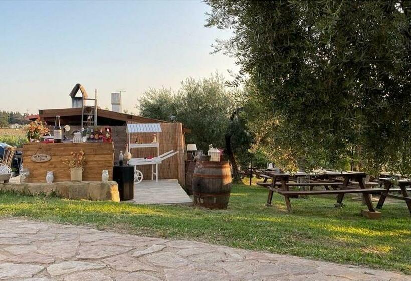 Отель Fattoria Rovello