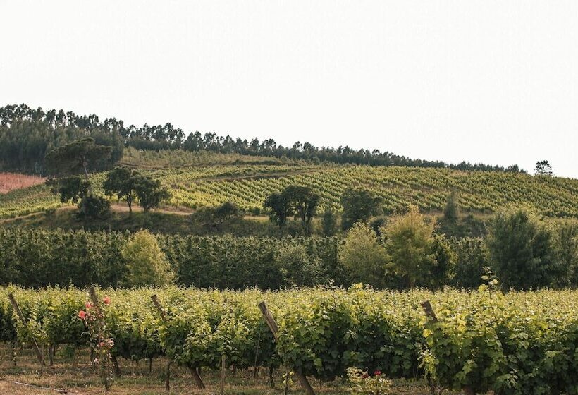 בית מלון כפרי Quinta Do Porto Nogueira By Romana Vini