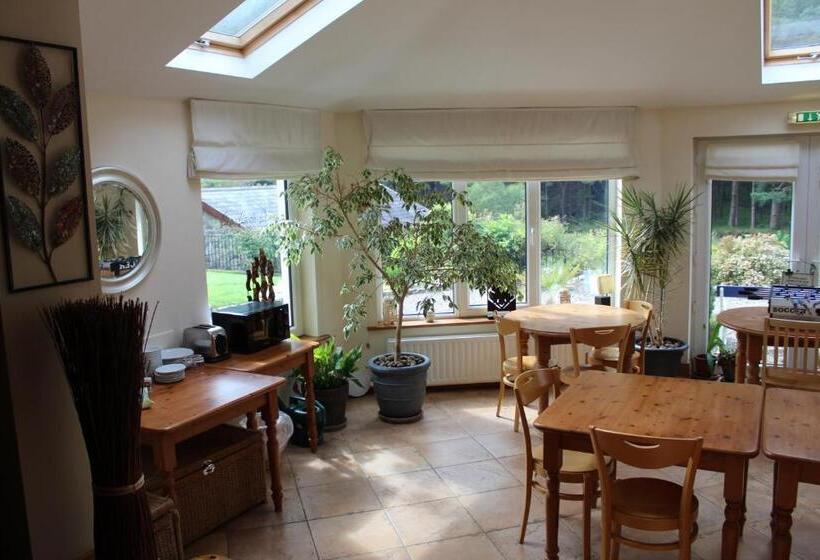 פנסיון Riversdale House Room Only Accommodation, A98kd85