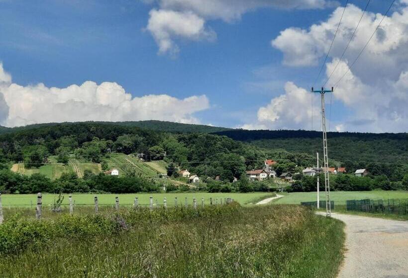 بنسيون Sasfészek Pihenő