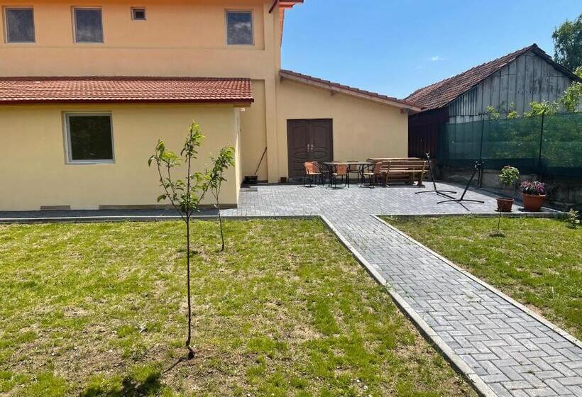 Pensiunea Pisc