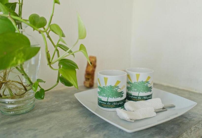 فندق صغير Saak Luúm Ruta Puuc