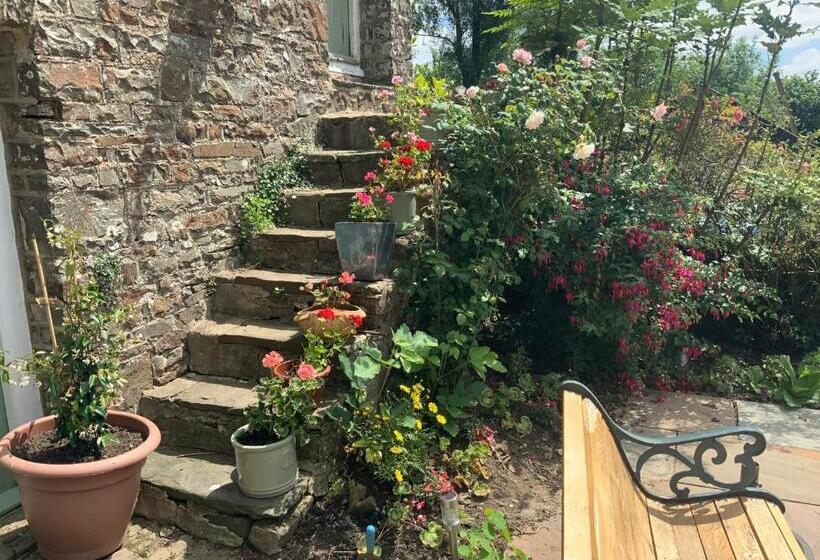 مبيت وإفطار Higher Biddacott Farm