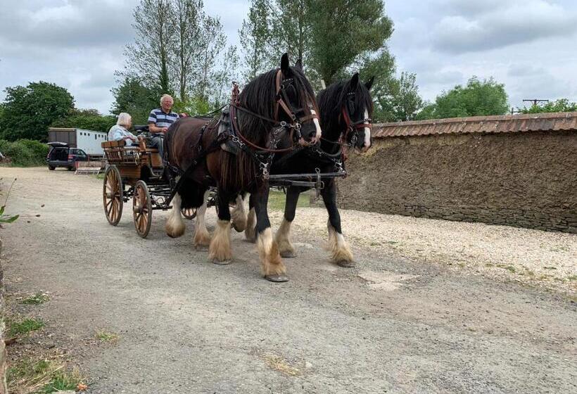 مبيت وإفطار Higher Biddacott Farm