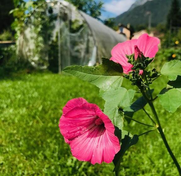 민박 Lotus Oasis I Natural Food & Room Experience