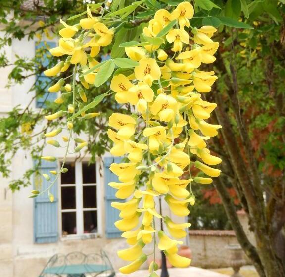 צימר Une Parenthèse En Champagne