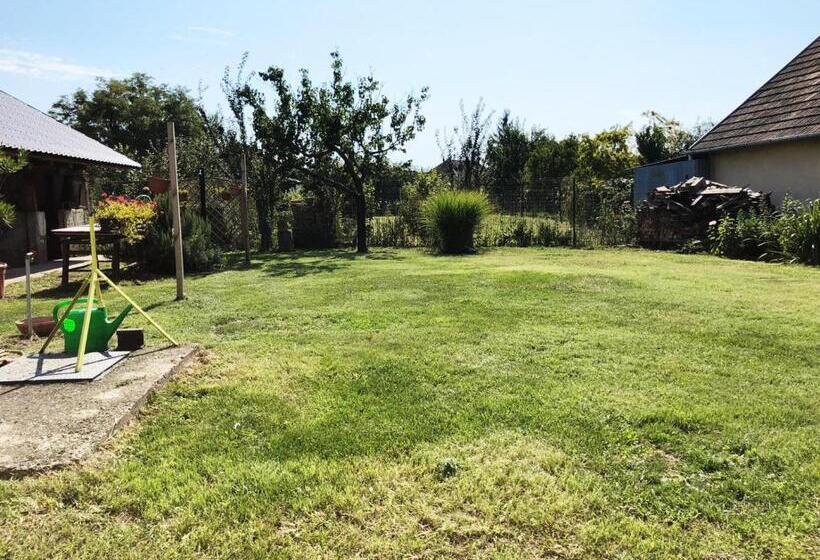 Bed and Breakfast Villa Dolne Saliby