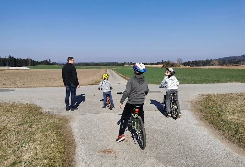 호텔 Kindererlebnis  Und Biobauernhof Hipp Bruckner