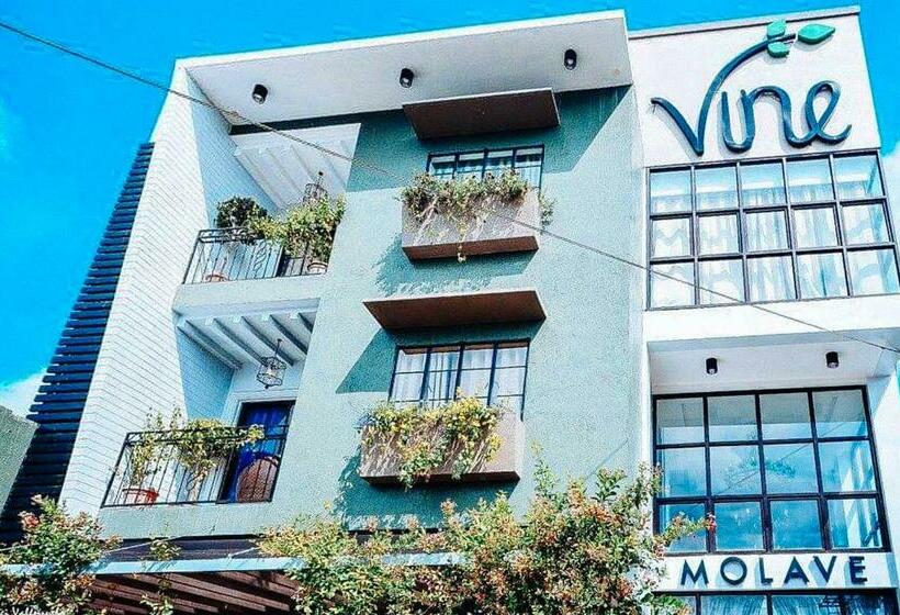 Отель Reddoorz @ Vine Molave