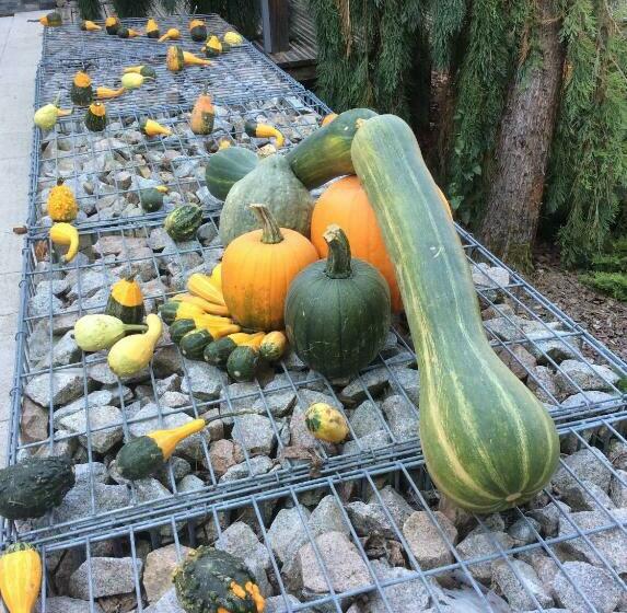 膳宿费 Aux Neuf Saules