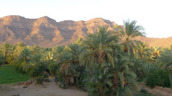 رياض Kasbah Timidarte