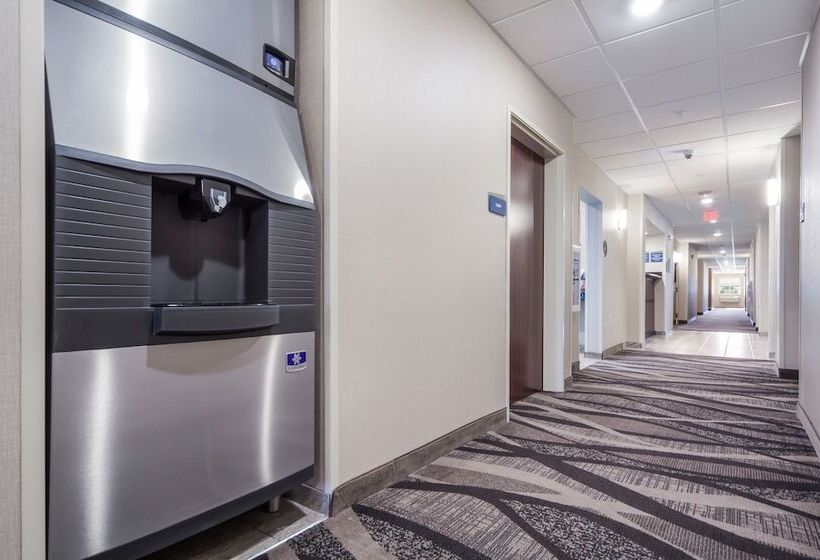 فندق Cobblestone Inn & Suites  Fremont