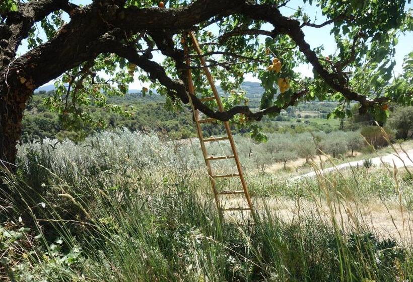 펜션 Etoileduventoux   Nyons Vaison La Romaine   2pers