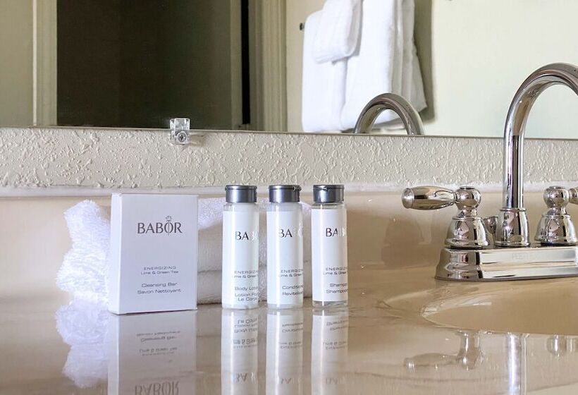 The Benson Motel   Benson, Mn   Us 12 Hwy