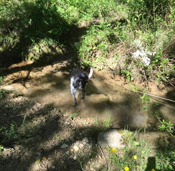 ベッドアンドブレックファースト La Rosela De La Cité