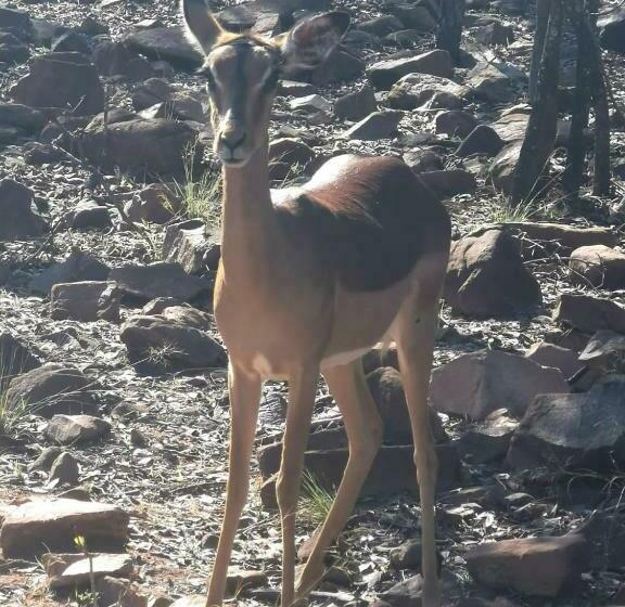 ホテル Sielevreugde