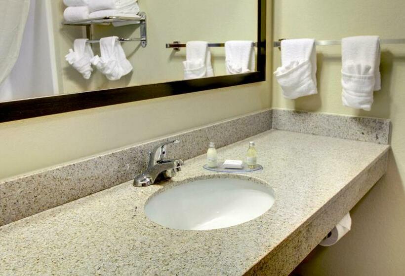 Cobblestone Hotel & Suites   Waynesboro