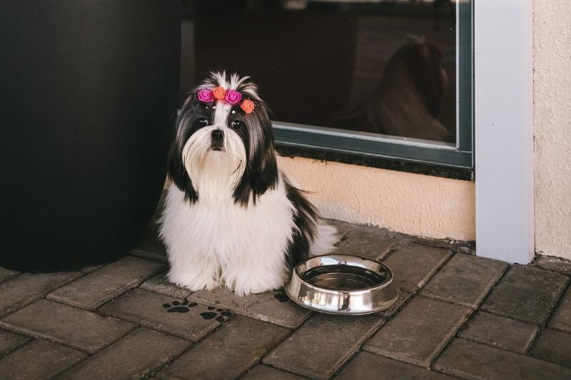 בית מלון כפרי 10 Sao Leopoldo