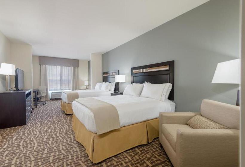 Hotel Holiday Inn Express & Suites Denver South  Castle Rock